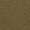 Frisea Vorwerk