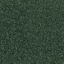 Frisea Vorwerk