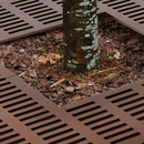 AREA Bristol Tree guard