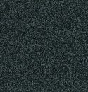 Frisea Vorwerk