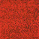 Nanimarquina Roses Naranja Moquetas / Alfombras