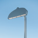 ECAL/Heavy Light ewo