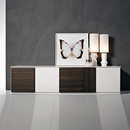 Molteni & C 505 Credenze / Cassettiere