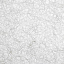 Wood & Washi Laminated Washi Extra Strong Paper / Cardboard Wallcoverings / Wallpaper