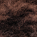 KYMO SG Suave solid brown