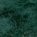 KYMO SG Suave dark green Teppichböden / Teppiche