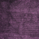Bambusa 1912 Kvadrat