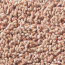 Corale 704 Kvadrat