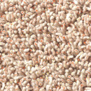 Corale 711 Kvadrat