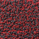 Corale 720 Kvadrat