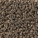 Corale 728 Kvadrat