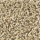 Corale 733 Kvadrat