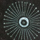 Ulrike Weiss Blowball Piastrelle per pareti Piastrelle per pavimenti Pietra naturale