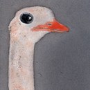 Ulrike Weiss Botswana Piastrelle per pareti Piastrelle per pavimenti Pietra naturale