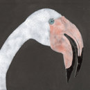 Ulrike Weiss Camargue Piastrelle per pareti Piastrelle per pavimenti Pietra naturale