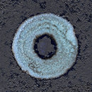 Ulrike Weiss Circle 2 Piastrelle per pareti Piastrelle per pavimenti Pietra naturale