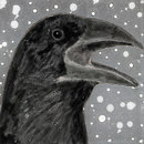 Ulrike Weiss Cracovia Piastrelle per pareti Piastrelle per pavimenti Pietra naturale