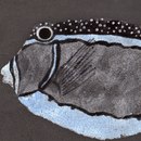 Ulrike Weiss Lagoon Piastrelle per pareti Piastrelle per pavimenti Pietra naturale