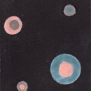 Ulrike Weiss Milky way black Pavimenti in pietra naturale Piastrelle per pareti Piastrelle per pavimenti Pietra naturale