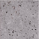 IVANKA Cemento14 – Grigio Vibrato Beton-/Zementböden Beton/Zement: Bodenfliesen Beton/Zement: Wandfliesen Bodenfliesen Material: Beton / Zement Wandfliesen