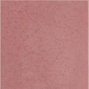Cemento14 – Rosa IVANKA