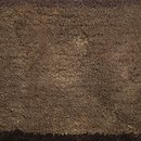 Secrets of Linen Diamond D83 Tapis / Moquettes