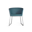 Moon Bold 664 PTN Capdell