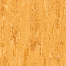 Polyflor Primus 2000 PUR objectflor