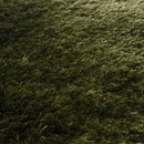 Homelike Flat pitch-green Miinu