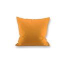 Susanna Cushion zitron Steiner