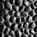 StoneslikeStones Duralmond 710 CANTOS Ceiling panels Composites: panels