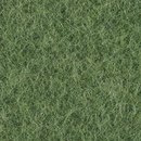 Alina grass Steiner