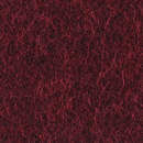 Alina blackberry Steiner
