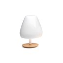 ALMA LIGHT Aspen Table lights