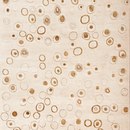 Now Carpets Rain