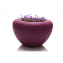 out-sider #142 Scoop Accesorios de hogar / oficina Áreas verdes Jardinería