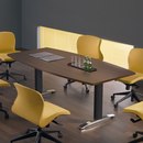 MDD Ergonomic Master Conference / Meeting