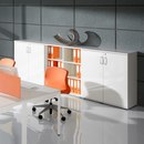 MDD Slim Executive Storage / Filing