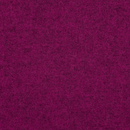 Susanna magnolia Steiner