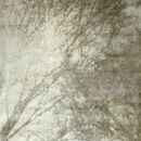 Tania Johnson Design Branches Tapis / Moquettes
