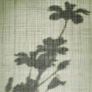 Tania Johnson Design Textured Daisy Moquette / Tappeti