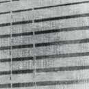 Tania Johnson Design Shaded Stripe Moquette / Tappeti