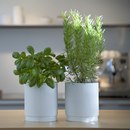 bulthaup Herbage pot Accessori