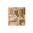 Porro Inlay Cupboard Aufbewahrung