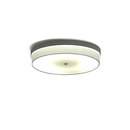 Ayal Rosin 1055 ceiling light