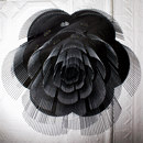 Willowlamp Rose - 700 - ceiling mounted | option straight/looped Luminaires LED Lustres / Chandeliers Plafonniers
