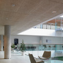 Troldtekt acoustic panels Troldtekt