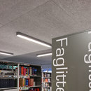 Troldtekt acoustic panels Troldtekt