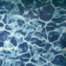 Bisazza Clear Water