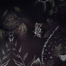 Bisazza Night Vision